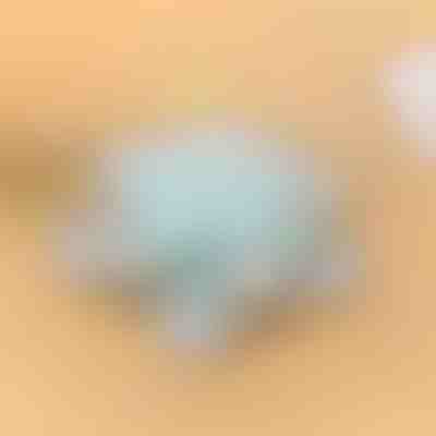 Obrotowy Pojemnik | SNACKARO