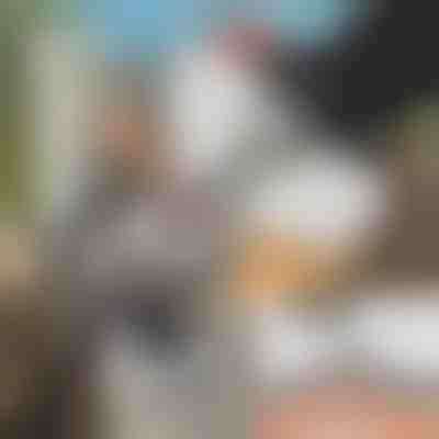 Specjalne narzędzie do szlifowania pił łańcuchowych + szlifierka GRINNEX